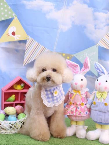 20240322クーくん